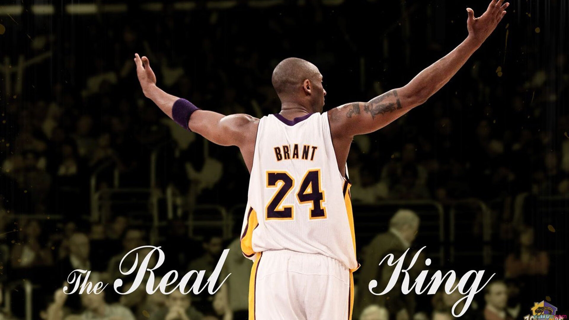 LOL野区机制变化迫使战术重组应对新环境,lol野区范围