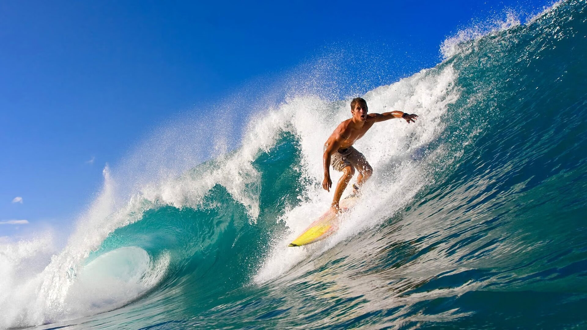 体育新闻中心支持运动技能培训新闻传播，体能训练新闻报道